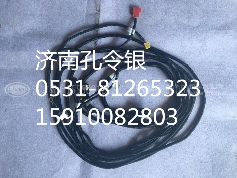 WG1034131103,尿素SCR线束,济南隆旭汽车配件有限公司