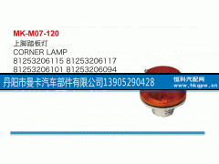 81253206115,上脚踏板灯,丹阳市曼卡汽车部件有限公司