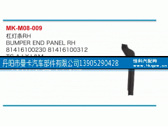 81416100230,杠灯条,丹阳市曼卡汽车部件有限公司