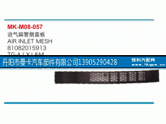 81082015913,進(jìn)氣扁管側(cè)蓋板,丹陽(yáng)市曼卡汽車部件有限公司