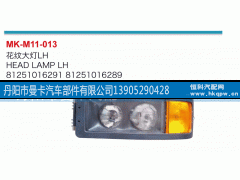 81251016291,花纹大灯,丹阳市曼卡汽车部件有限公司