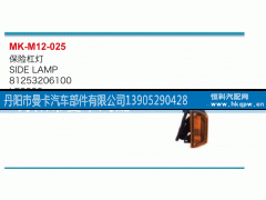 81253206100,保险杠灯,丹阳市曼卡汽车部件有限公司