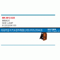 81253206100,保险杠灯,丹阳市曼卡汽车部件有限公司
