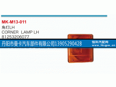81253206077,角灯,丹阳市曼卡汽车部件有限公司
