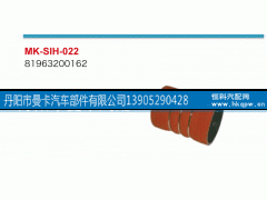 81963200162,,丹阳市曼卡汽车部件有限公司