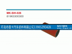 81963300300,,丹阳市曼卡汽车部件有限公司