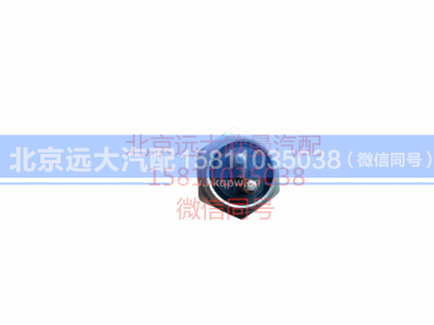 1B24237300025,气压气压报警指示灯开关,北京远大汽车配件有限公司