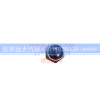 1B24237300025,气压气压报警指示灯开关,北京远大汽车配件有限公司