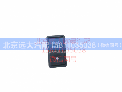 1B24937350023,怠速使能开关,北京远大汽车配件有限公司