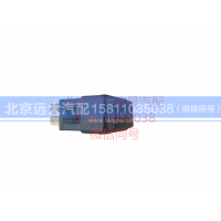 1B24937350023,怠速使能开关,北京远大汽车配件有限公司