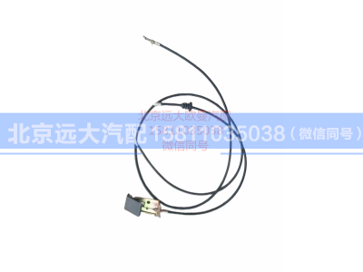 1B24953104015,面板拉线,北京远大汽车配件有限公司