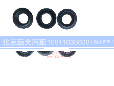 5255313,氣門室罩油封,北京遠(yuǎn)大汽車配件有限公司
