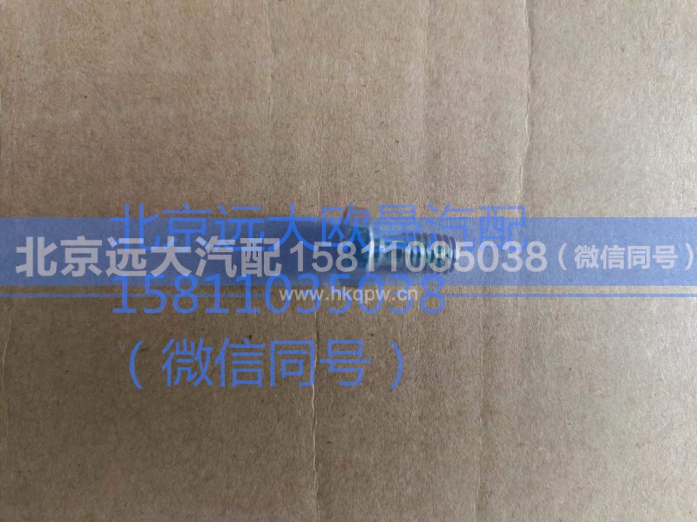 61500080090,噴油器空心螺栓,北京遠大汽車配件有限公司