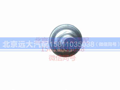 61500090051,機(jī)油壓力傳感器,北京遠(yuǎn)大汽車配件有限公司