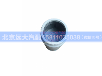 H0110210902A0,柴油滤清器滤芯总成,北京远大汽车配件有限公司