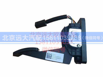 H0117030005A0,电子油门踏板总成,北京远大汽车配件有限公司