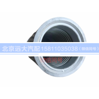 H0120160008A0,軟管總成,北京遠(yuǎn)大汽車配件有限公司