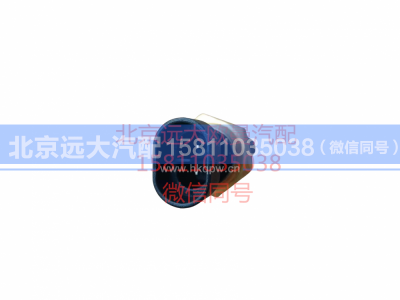 H0366080003A0,水位报警开关,北京远大汽车配件有限公司