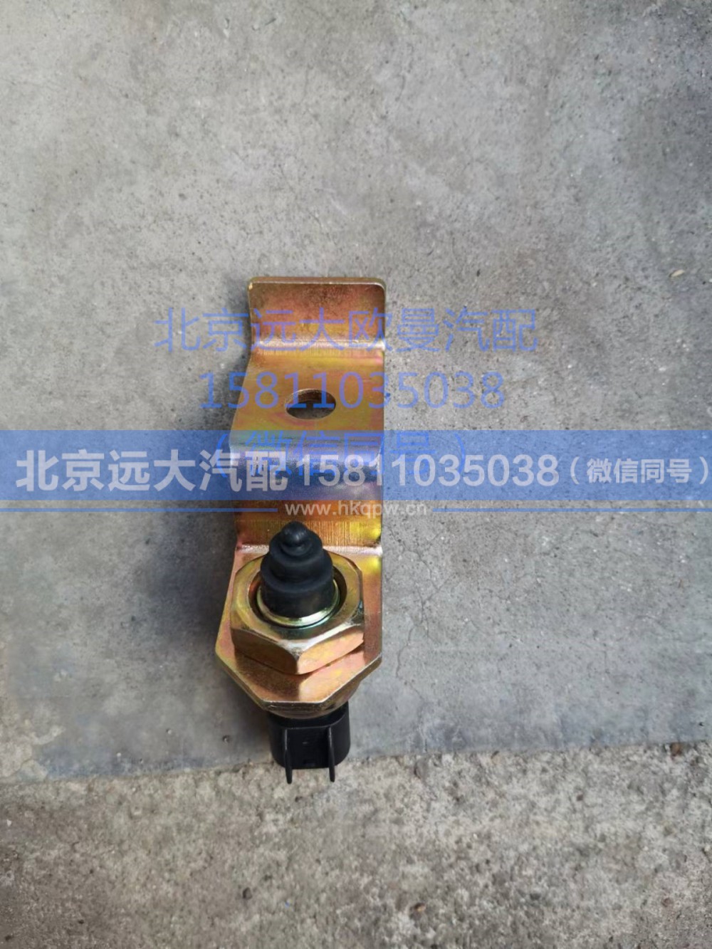 H0366080007A0,车身锁止报警开关,北京远大汽车配件有限公司