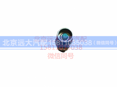 H0366080008A0,发动机副熄火开关,北京远大汽车配件有限公司