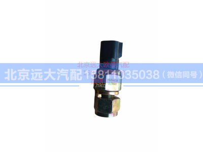 H0366080008A0,发动机副熄火开关,北京远大汽车配件有限公司