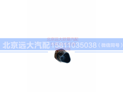 H0366080008A0,发动机副熄火开关,北京远大汽车配件有限公司