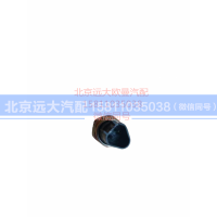 H0366080008A0,发动机副熄火开关,北京远大汽车配件有限公司