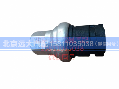 H0366080009A0,空滤器堵塞报警开关,北京远大汽车配件有限公司