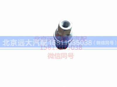 H0366080009A0,空滤器堵塞报警开关,北京远大汽车配件有限公司