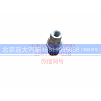 H0366080009A0,空滤器堵塞报警开关,北京远大汽车配件有限公司