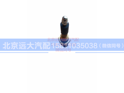 H0366080014A0,水位报警开关短新款,北京远大汽车配件有限公司
