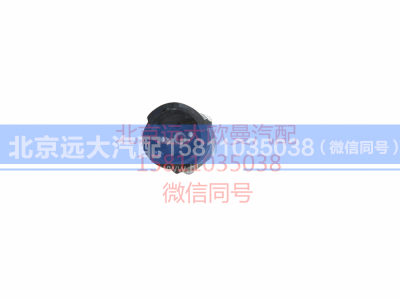 H0373040024A0,制动灯开关,北京远大汽车配件有限公司