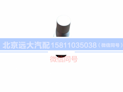 H0381020001A0,里程表傳感器,北京遠(yuǎn)大汽車配件有限公司