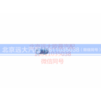 H4371040002A0,右前示廓灯,北京远大汽车配件有限公司