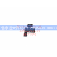 H4373040022A0,电动后视镜开关,北京远大汽车配件有限公司