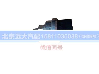 H411900000316,空濾器堵塞報(bào)警燈開(kāi)關(guān),北京遠(yuǎn)大汽車配件有限公司