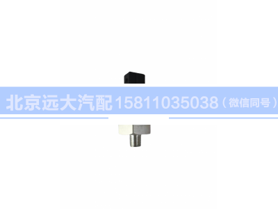 H411900000613,空濾器堵塞報警燈開關(guān),北京遠(yuǎn)大汽車配件有限公司