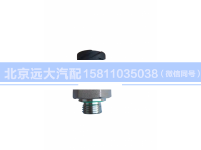 H429600000041,壓力傳感器,北京遠(yuǎn)大汽車(chē)配件有限公司