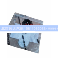 H429600000041,壓力傳感器,北京遠(yuǎn)大汽車(chē)配件有限公司