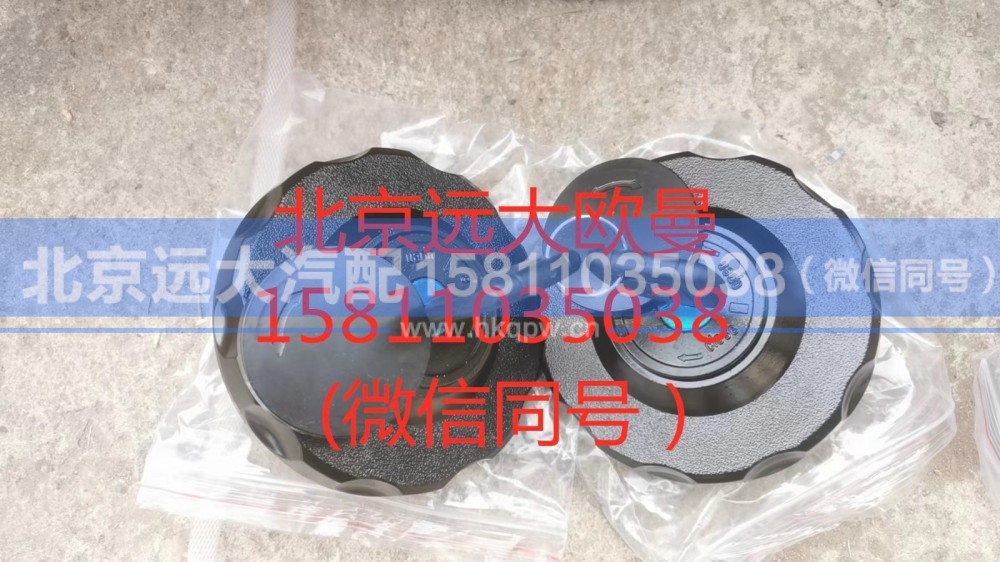 H4110030300A0,双油箱盖,北京远大汽车配件有限公司