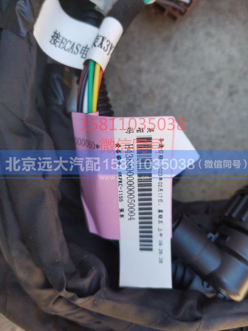 H438900000005,底盘悬架线束总成,北京远大汽车配件有限公司