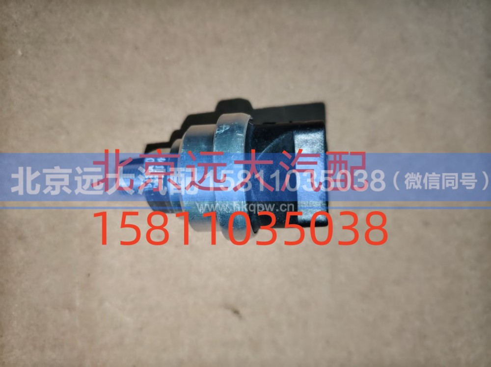 FH411900000316A1259,空滤器堵塞报警灯开关,北京远大汽车配件有限公司