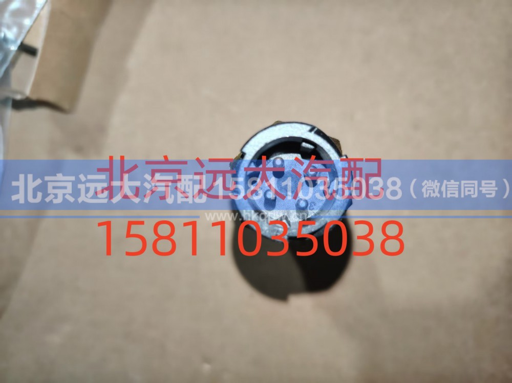 H4381020002A0,里程表传感器,北京远大汽车配件有限公司
