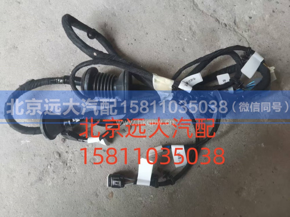 H0374060200A0,左車門線束總成,北京遠大汽車配件有限公司