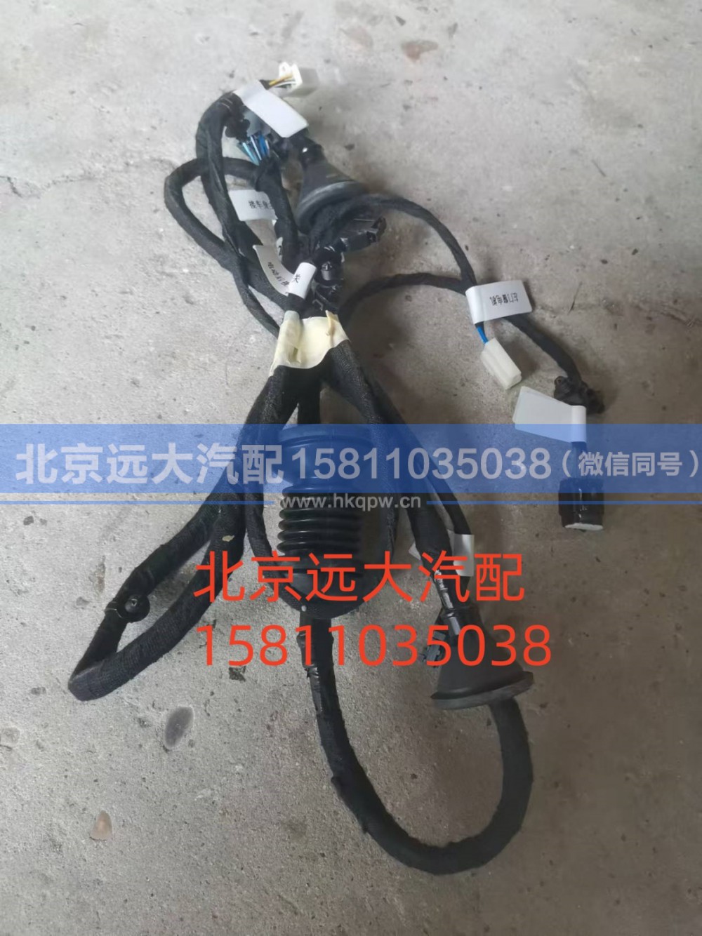 H0374060200A0,左車門線束總成,北京遠大汽車配件有限公司