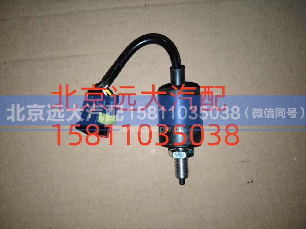 H4373040016A0,踏板行程开关总成,北京远大汽车配件有限公司