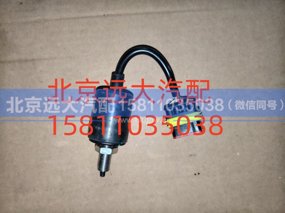H4373040016A0,踏板行程开关总成,北京远大汽车配件有限公司