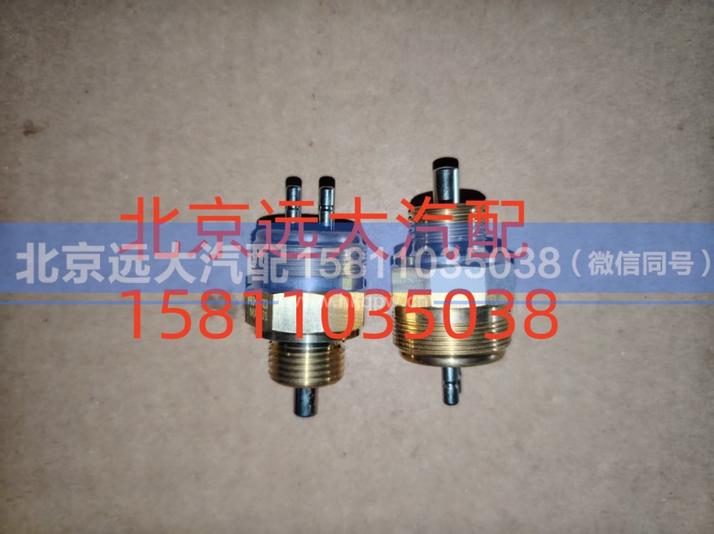 300S1-2511011A,后桥差速锁压力开关,北京远大汽车配件有限公司