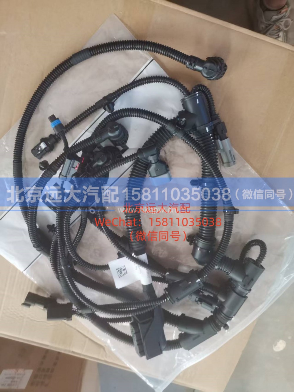 5575138,电控模块线束,北京远大汽车配件有限公司