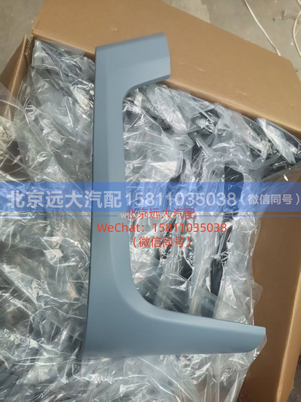 H4831013701A0,左灯装饰板,北京远大汽车配件有限公司
